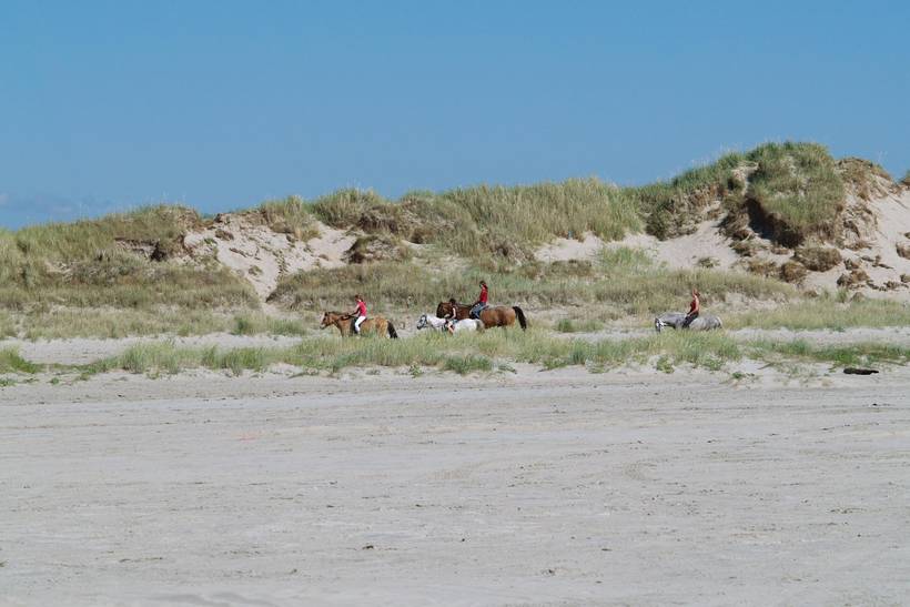 Foto von Ferienhaus KR29 in Lakolk - Rømø