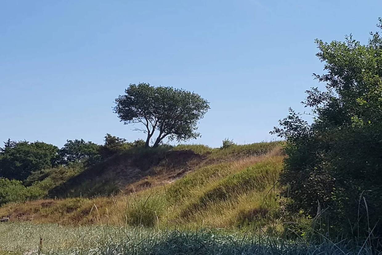 Foto von Ferienhaus KS12 in Båring Vig - Nordfünen