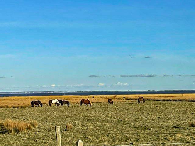Foto von Ferienhaus KS93 in Nr. Lyngvig - Hvide Sande - Westjütland