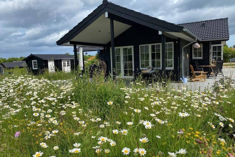 Foto von Ferienhaus KT13 in Sejerø Bugt - Westseeland