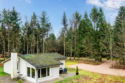 Vorschaubild von Ferienhaus KT46 in Truust - Ostjütland