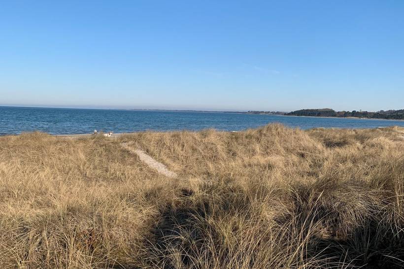 Foto von Ferienhaus KU58 in Sejerø Bugt - Westseeland