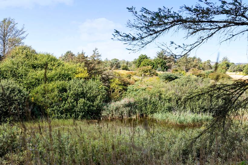 Foto von Ferienhaus KU71 in Grønhøj - Løkken - Nordjütland
