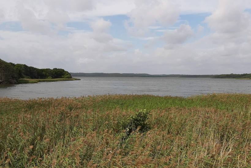 Foto von Ferienhaus KU92 in Fuglslev - Ebeltoft - Ostjütland