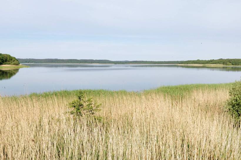 Foto von Ferienhaus KU92 in Fuglslev - Ebeltoft - Ostjütland
