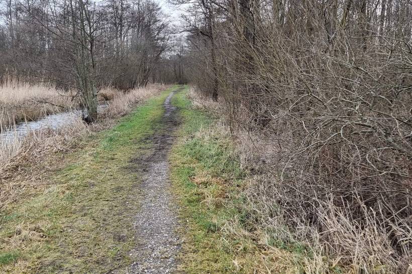 Foto von Ferienhaus KU92 in Fuglslev - Ebeltoft - Ostjütland