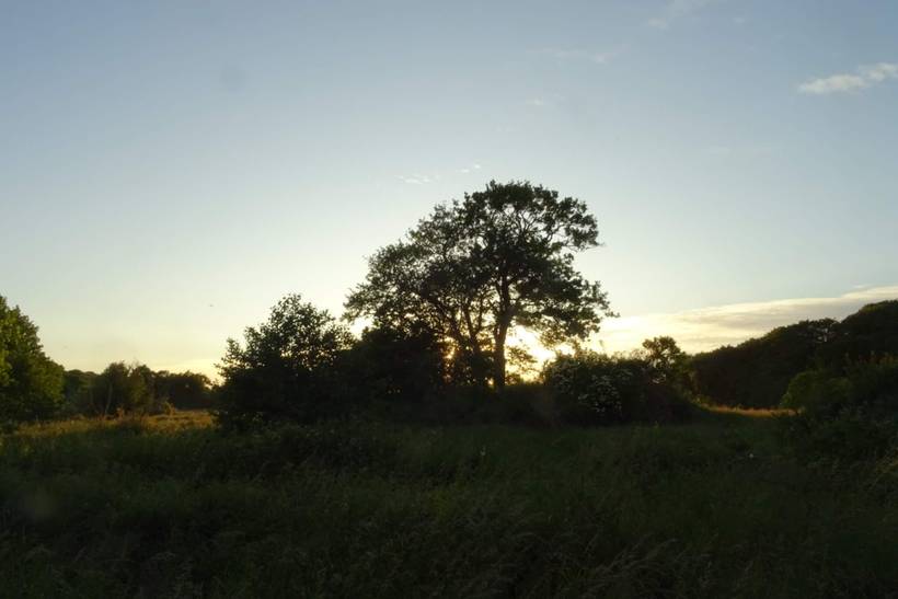 Foto von Ferienhaus KU92 in Fuglslev - Ebeltoft - Ostjütland