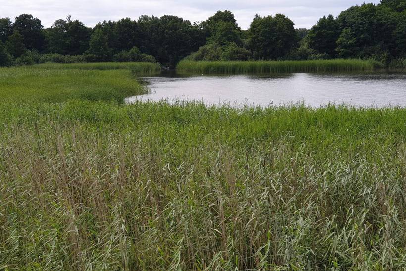 Foto von Ferienhaus KU92 in Fuglslev - Ebeltoft - Ostjütland
