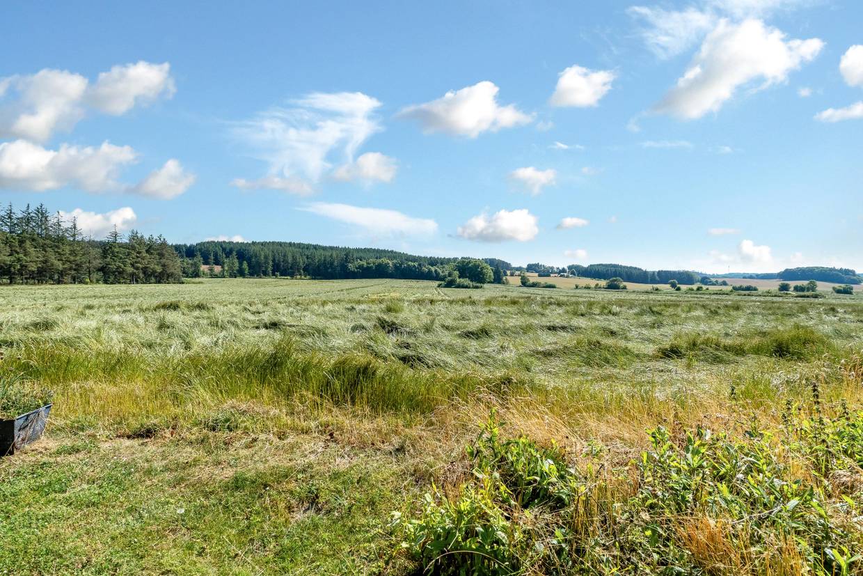 Foto von Ferienhaus KV51 in Sæby - Nordjütland Ost