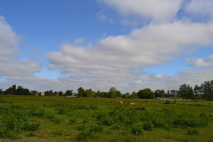 Foto von Ferienhaus KV56 in Ribe - Südjütland