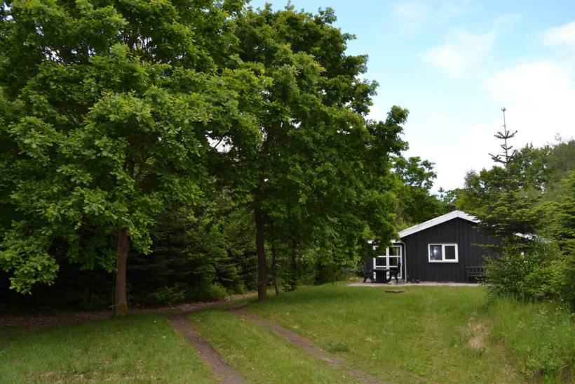 Foto von Ferienhaus KV56 in Ribe - Südjütland