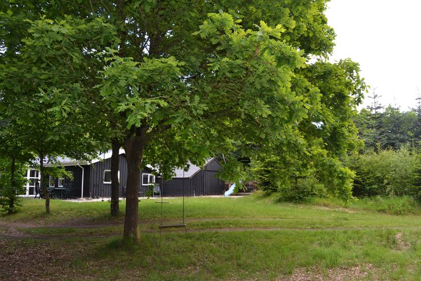 Foto von Ferienhaus KV56 in Ribe - Südjütland