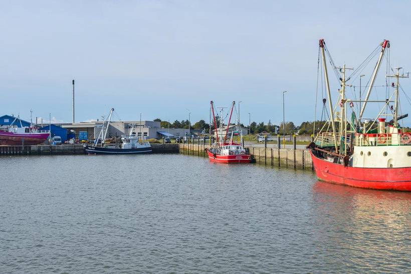 Foto von Ferienhaus KV76 in Havneby - Rømø