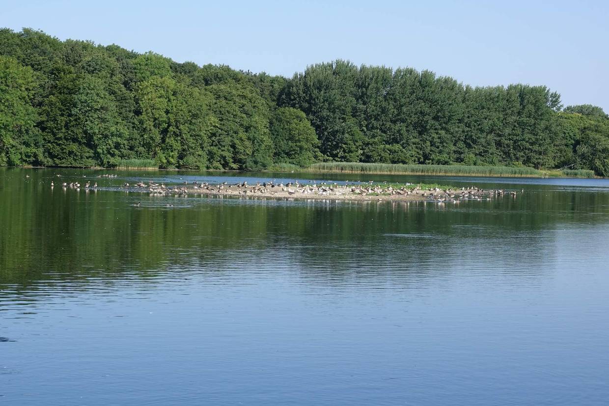 Foto von Ferienhaus KW68 in Tåsinge - Südfünen