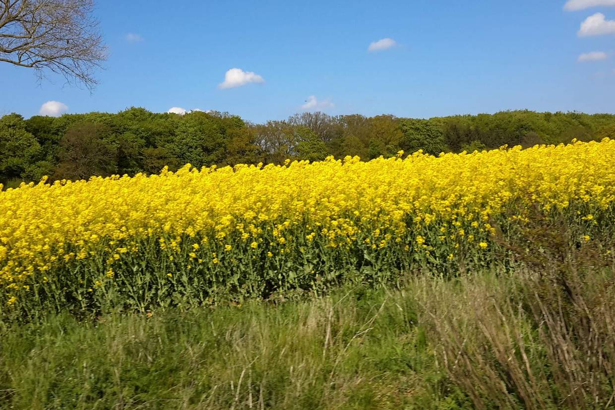 Foto von Ferienhaus KW68 in Tåsinge - Südfünen