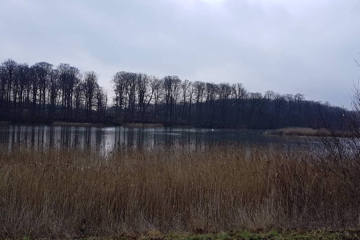 Foto von Ferienhaus KW68 in Tåsinge - Südfünen