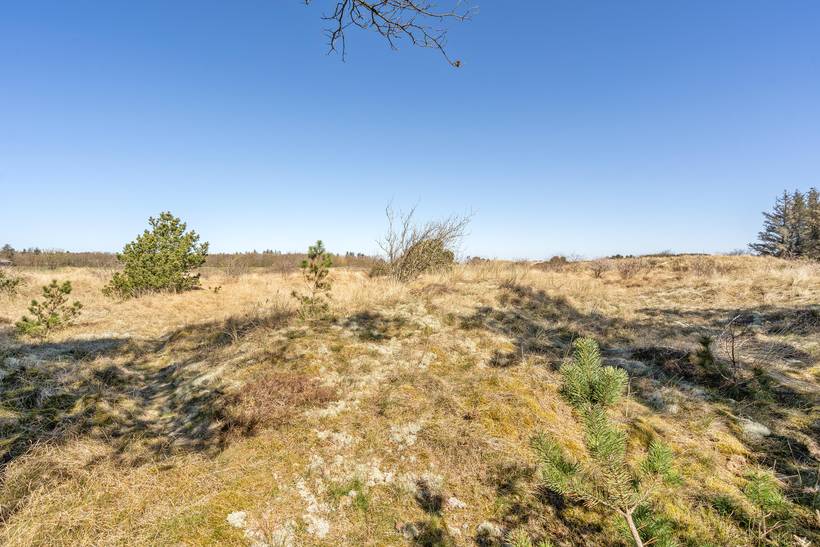 Foto von Ferienhaus KX13 in Nymindegab - Westjütland