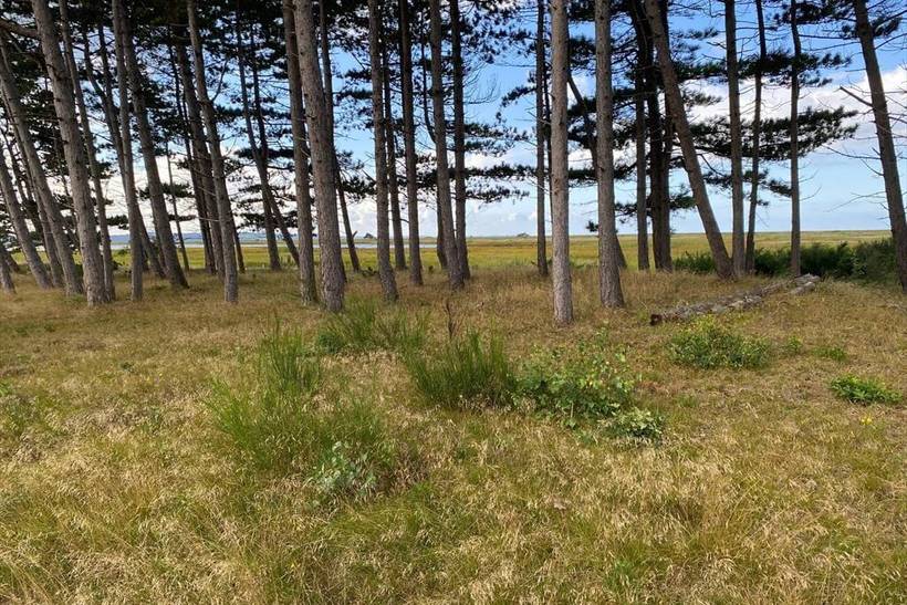Foto von Ferienhaus KX28 in Sejerø Bugt - Westseeland