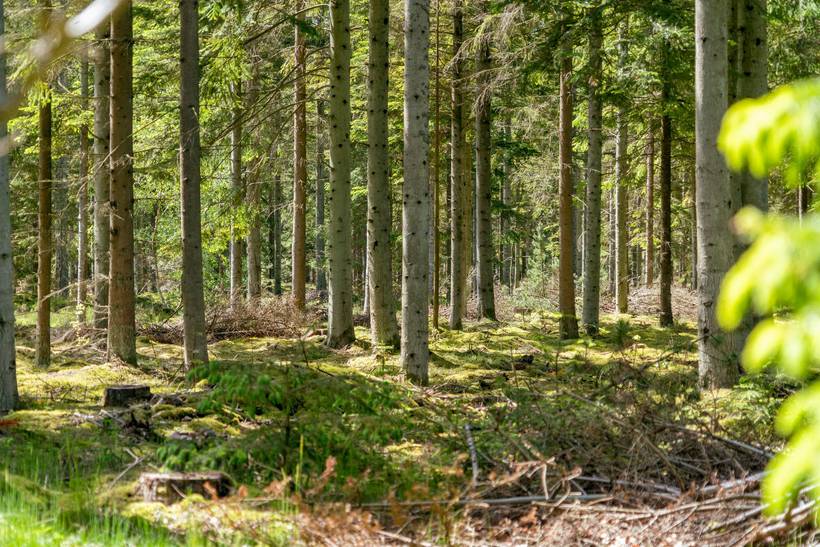 Foto von Ferienhaus KX93 in Bisnap - Hou - Nordjütland Ost