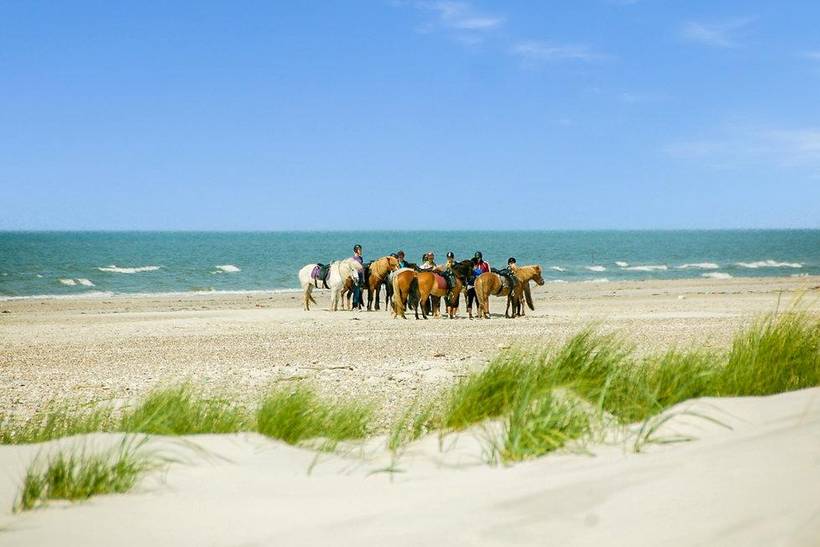 Foto von Ferienhaus LB09 in Ho - Blåvand - Westjütland