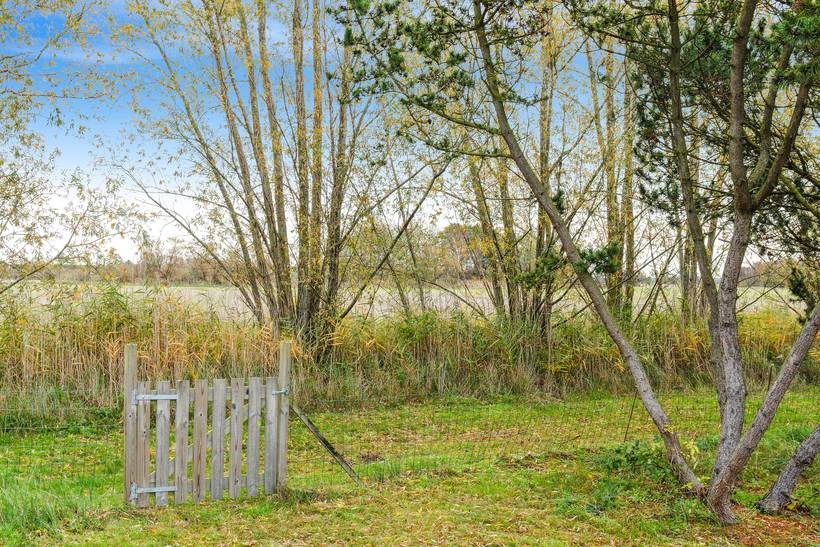 Foto von Ferienhaus LB54 in Kramnitse - Lolland