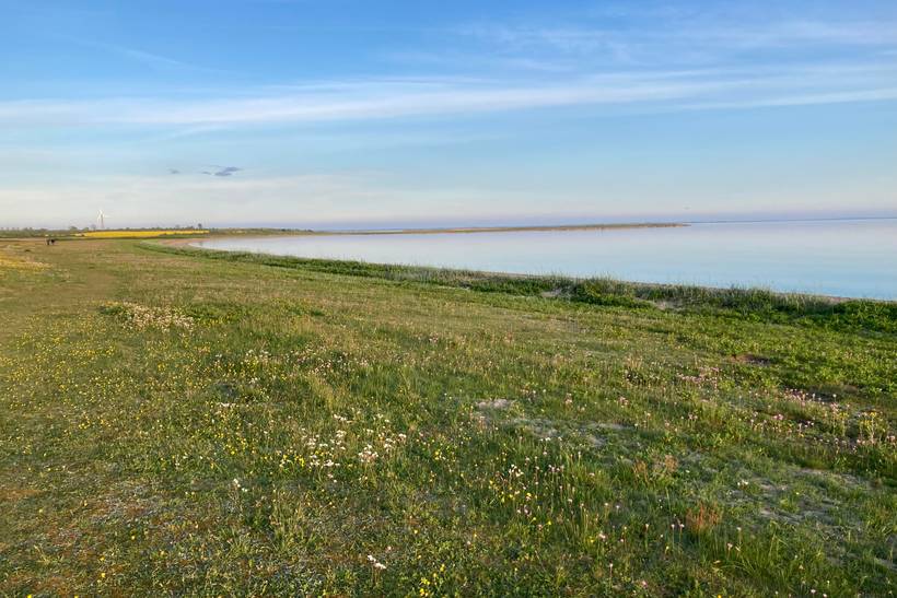 Foto von Ferienhaus LB77 in Hejsager - Kelstrup - Südjütland