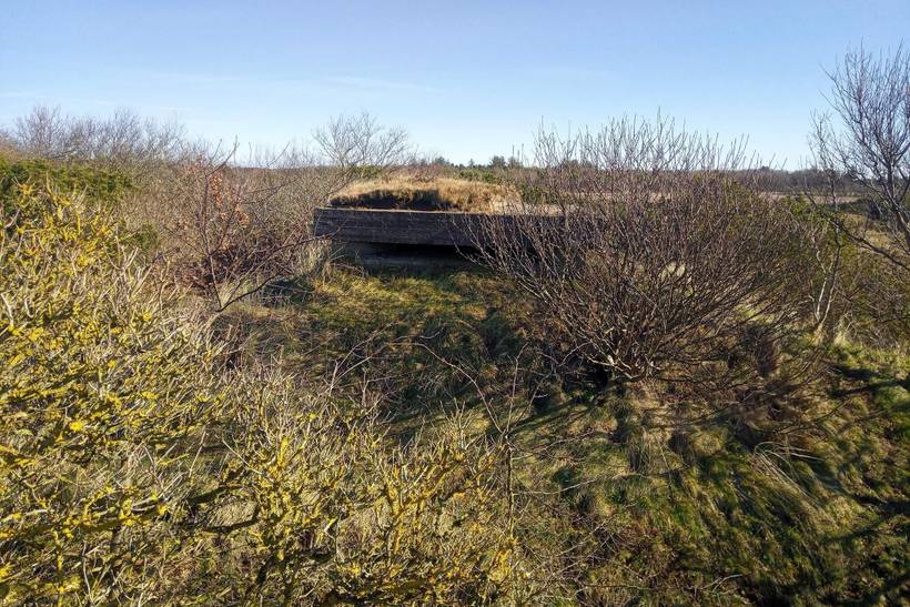 Foto von Ferienhaus LD52 in Stauning - Westjütland