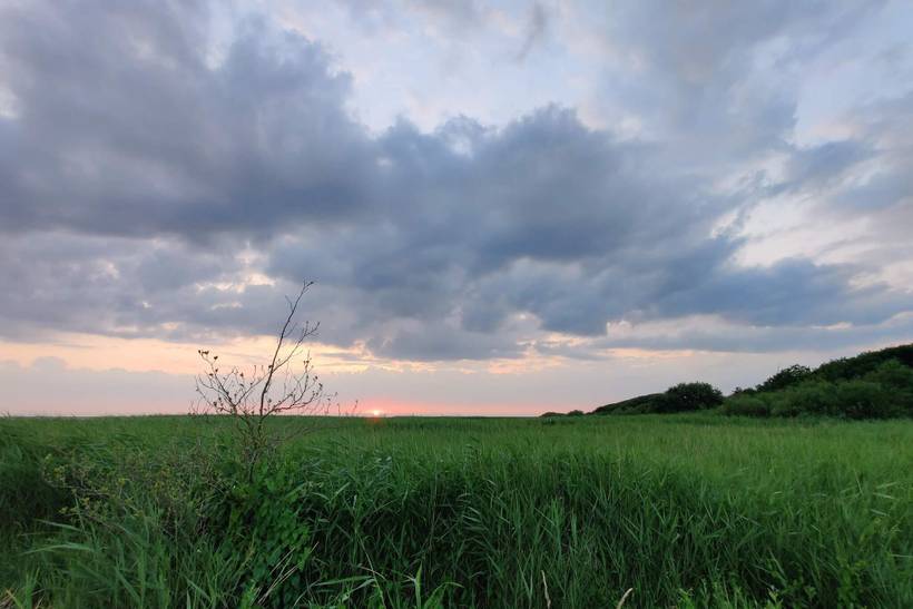 Foto von Ferienhaus LD52 in Stauning - Westjütland