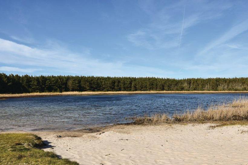 Foto von Ferienhaus LD68 in Vester Husby - Westjütland