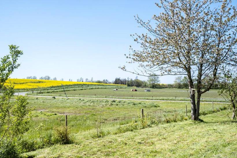 Foto von Ferienhaus LD84 auf Reersø - Westseeland