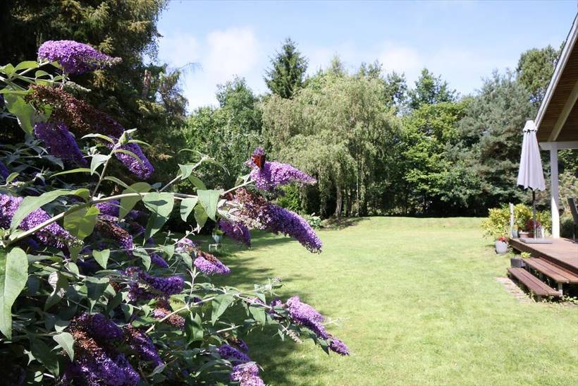 Foto von Ferienhaus LE43 in Rørvig - Westseeland