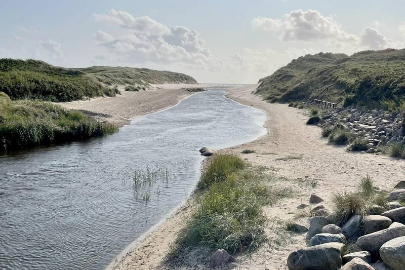 Foto von Ferienhaus LE66 in Henne Strand - Westjütland