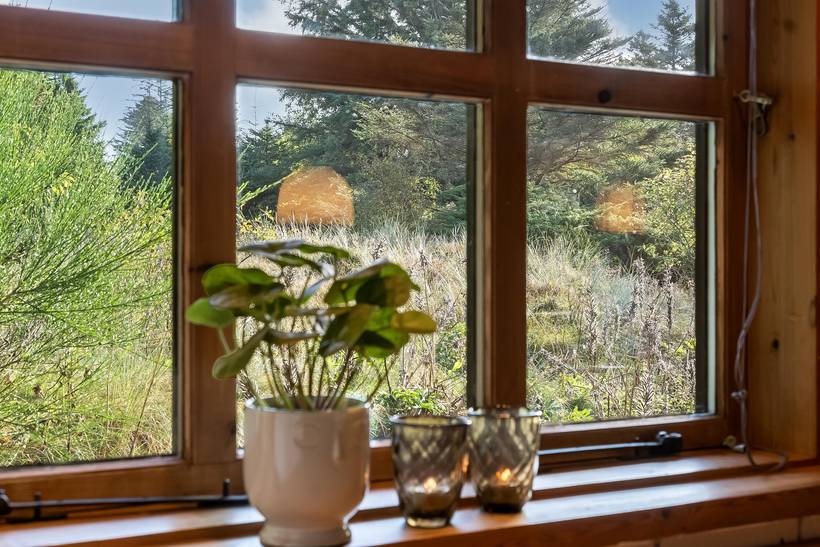 Foto von Ferienhaus LE75 in Blokhus - Nordjütland