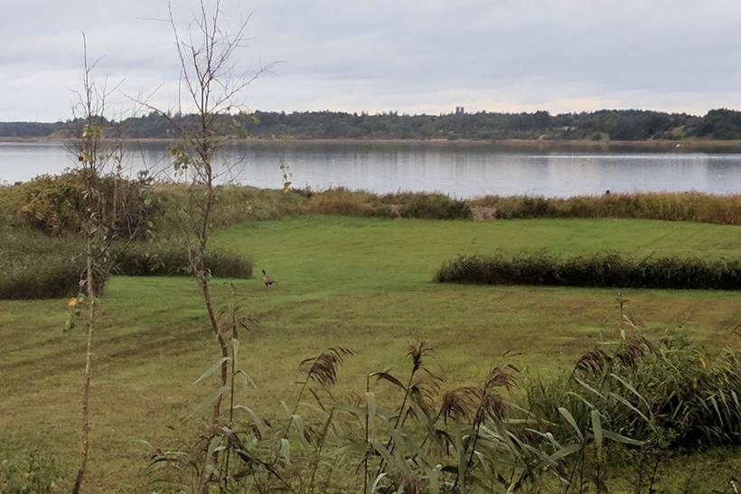 Foto von Ferienhaus LE91 in Helligsø - Thy/Limfjord