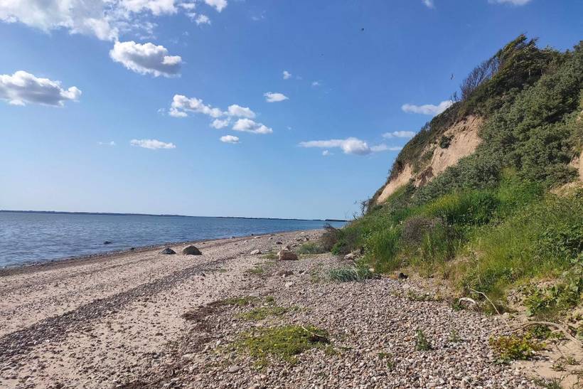 Foto von Ferienhaus LE91 in Helligsø - Thy/Limfjord