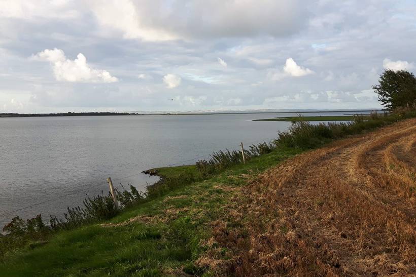 Foto von Ferienhaus LE91 in Helligsø - Thy/Limfjord