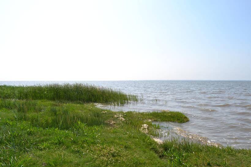 Foto von Ferienhaus LF33 in Ballum - Südjütland