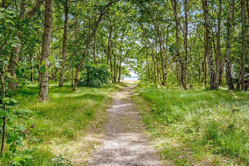 Foto von Ferienhaus LF34 in Femmøller - Mols - Ostjütland