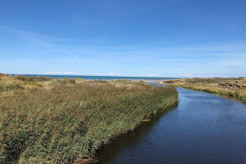 Foto von Ferienhaus LF50 in Tversted - Nordjütland