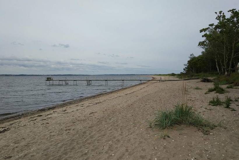 Foto von Ferienhaus LF59 in Eskov Strandpark - Thy/Limfjord