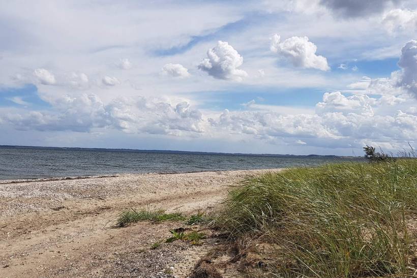 Foto von Ferienhaus LF59 in Eskov Strandpark - Thy/Limfjord