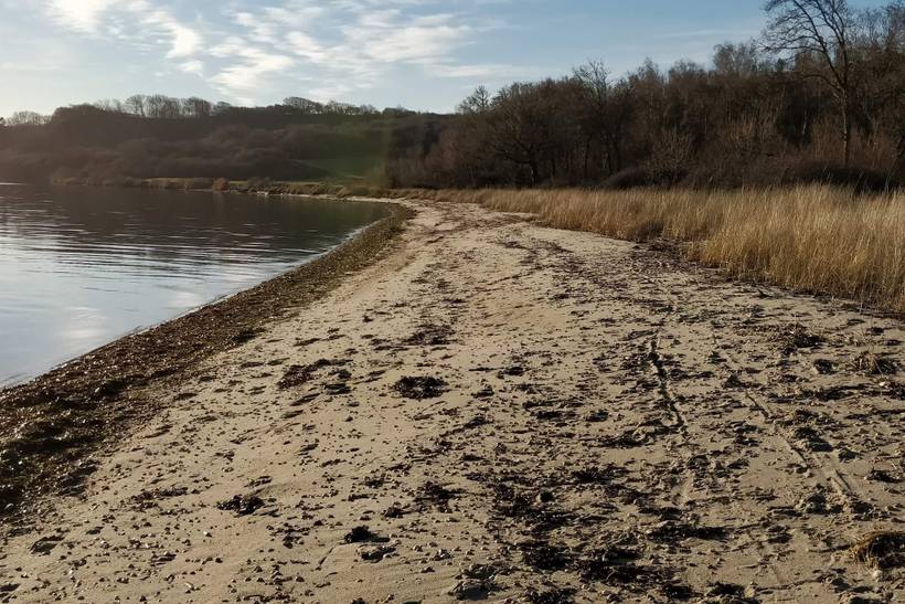 Foto von Ferienhaus LF59 in Eskov Strandpark - Thy/Limfjord
