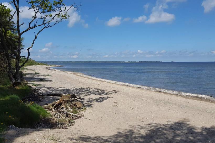 Foto von Ferienhaus LF59 in Eskov Strandpark - Thy/Limfjord