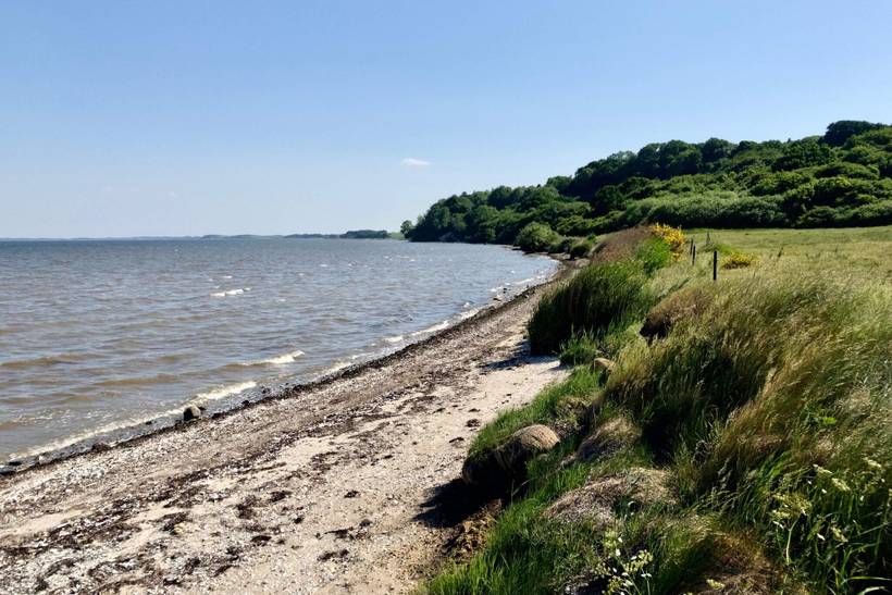 Foto von Ferienhaus LF59 in Eskov Strandpark - Thy/Limfjord