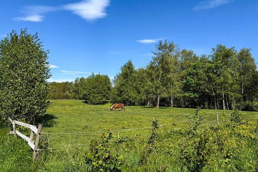 Foto von Ferienhaus LF64 in Vile - Thy/Limfjord