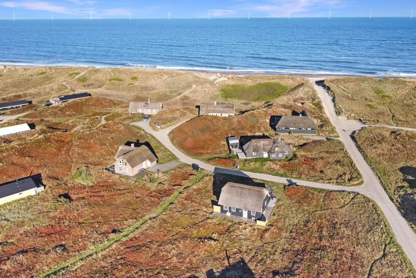 Foto von Ferienhaus LF73 in Vejlby Klit - Westjütland