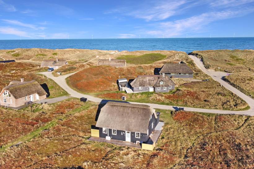 Foto von Ferienhaus LF73 in Vejlby Klit - Westjütland