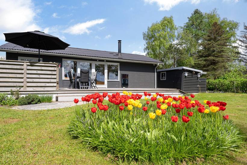 Foto von Ferienhaus LF79 in Rødvig - Stevns - Südseeland