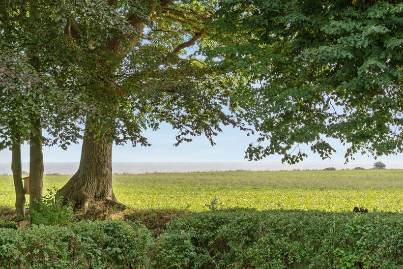 Foto von Ferienhaus LF79 in Rødvig - Stevns - Südseeland