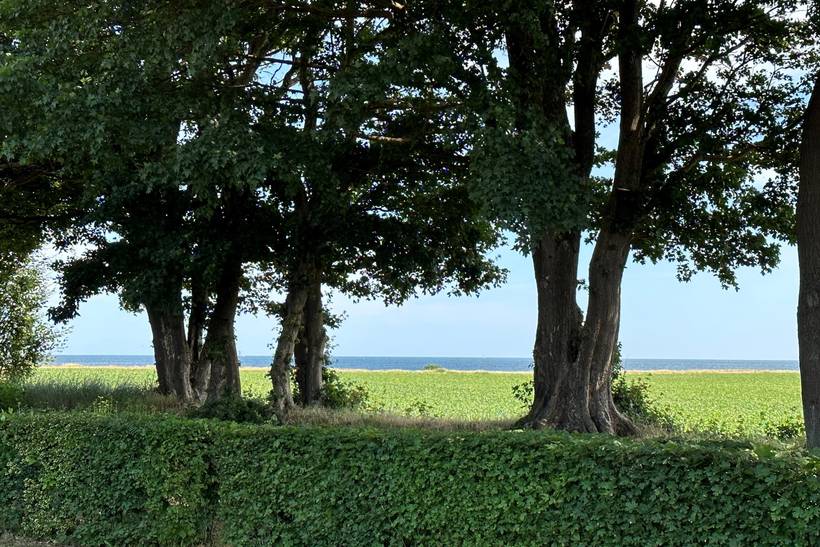 Foto von Ferienhaus LF79 in Rødvig - Stevns - Südseeland